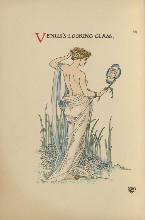 nemfrog:Venus’s looking glass. A flower wedding. 1905. Walter Crane, illustrator. 