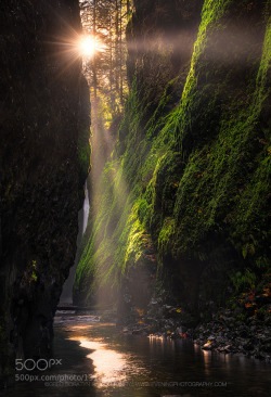 vicariousplacebo:  Sun rays by GreggB