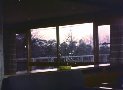 disorienteddreams: Ikebana (Hiroshi Teshigahara, 1956)