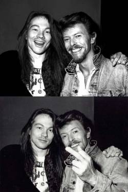 getmegingerdoctor:David Bowie and Axl Rose