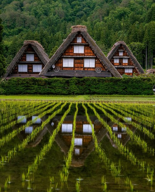 legendary-scholar:  Una Shirakawa (白川卯奈) UNESCO World Heritage Village.