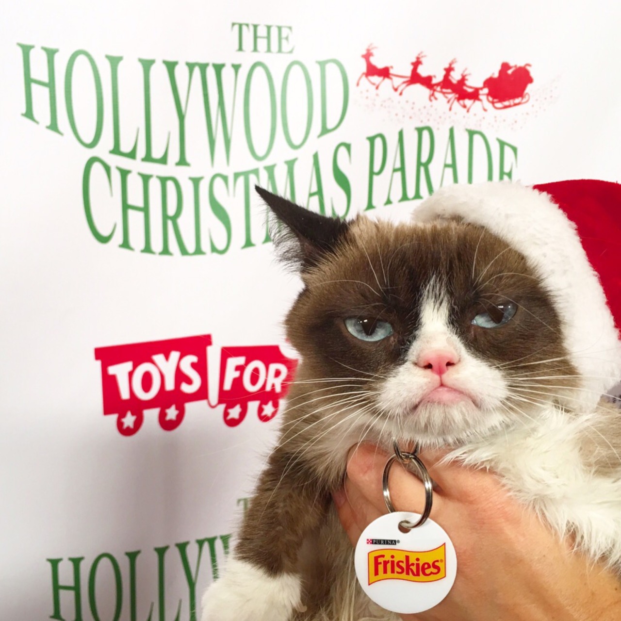 TONIGHT: Watch Grumpy Cat in The Hollywood Christmas Parade on The CW Network at 8/7c #GiveFriskies #WorstParadeEver