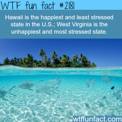 wtf-fun-factss:  Happiest and least stressed