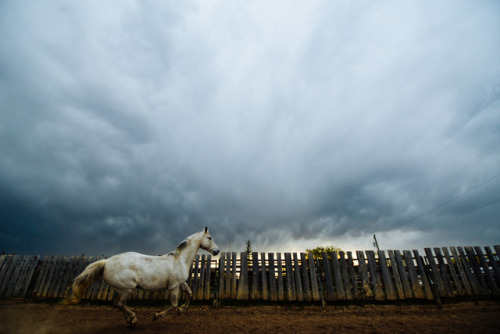 nowhoa: Before the storm.  I take a lot of photos of this horse, and although he can look rough and 