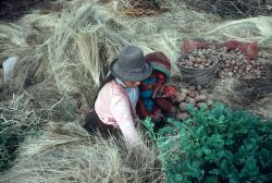 unrar:  Peru 1991, Stuart Franklin. 