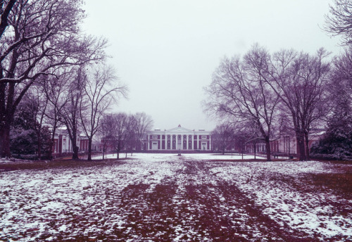 university of virginia