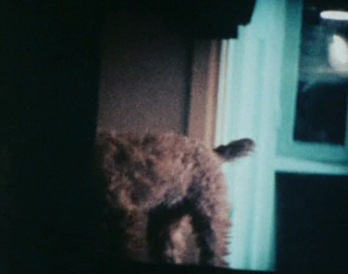365filmsbyauroranocte:From the Exterior (Barbara Meter, 1970)