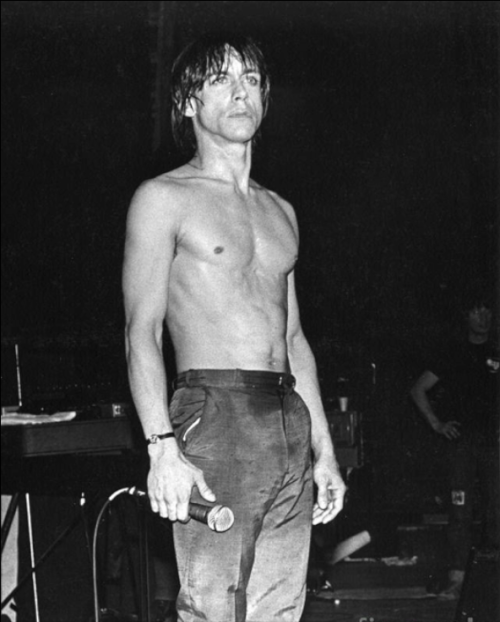 iskandaraugustine:Iggy Pop adult photos