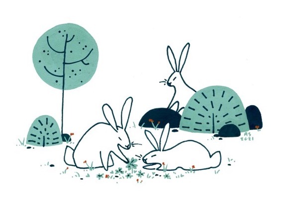 Two rabbits pick four-leaf clovers while one other watches from the distance. 