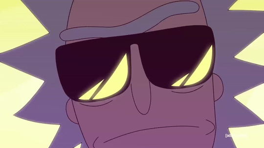 I am a SpaceSeal, — Rick and Morty x Run The Jewels Gifset