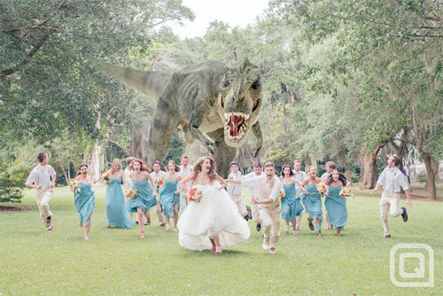 madeofair:chrisdaps:BEST. WEDDING. PHOTO. IDEA. EVER.oh.my.god.