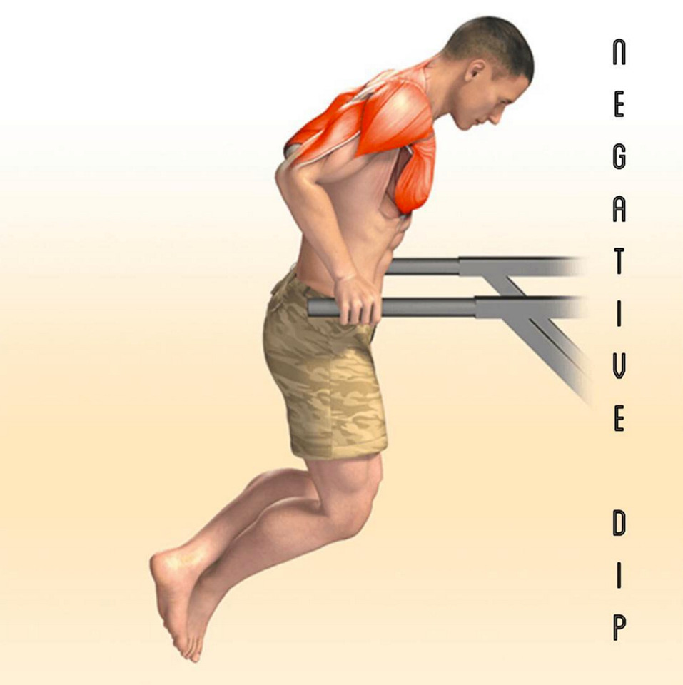 taichi-kungfu-online:  strong muscle from every day