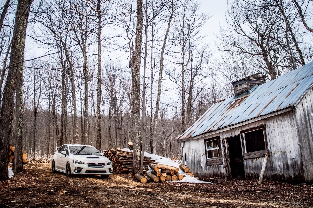 subiesmakemerallyhard:  http://flic.kr/p/ne46Ai DSC_4032