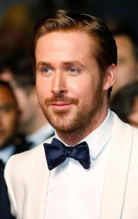 Ryan Gosling   Fonte : Lux - IOL , Source : tinamotta.tumblr.com 