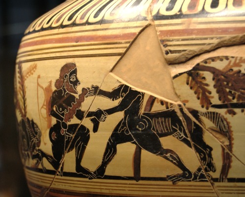 Heracles and a Centaur, perhaps Pholus.  Laconian black-figure dinos, attributed to the Rider Painte