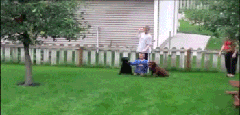 funnyordie:
“21 Best GIFs of All Time of the Week
On your mark, get set, GIF!
”