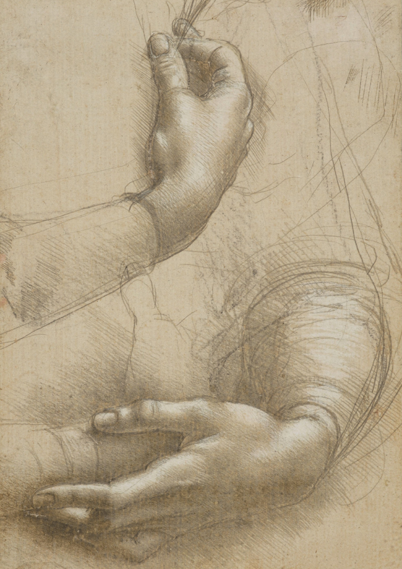 clawmarks:  Leonardo da Vinci - Study of a woman’s hands - c. 1490 - via Royal