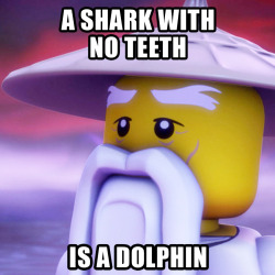 But is a dolphin with teeth a shark? For more Wise Sensei Wu, download the Cartoon Network Anything app for free! #WiseSenseiWuWednesday #LEGO #NINJAGO #MastersOfSpinjitzu