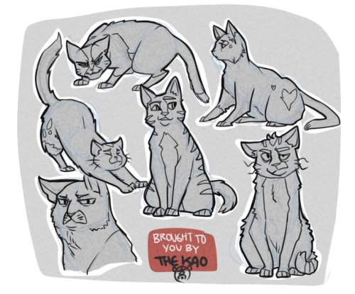 everydaycomics:Sorry this isn’t much of a Tutorial but yeah this is how i draw cats now. -The Kao