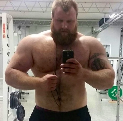 Bearflip