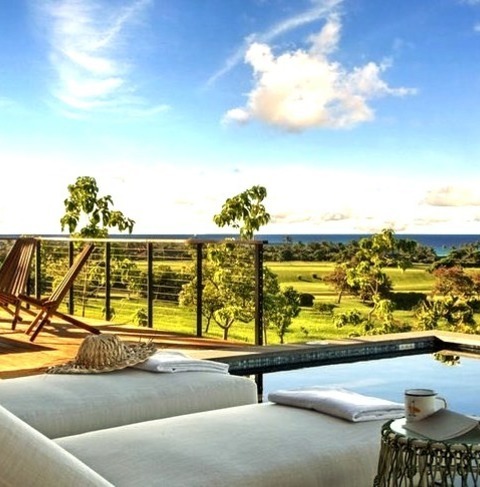 Tropical PoolExample Of A Large Island Style Rectangular Aboveground Pool Design