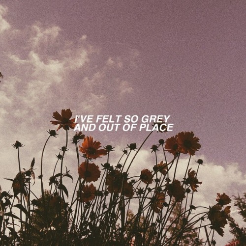 lyricobsessed: The Grey // Movements