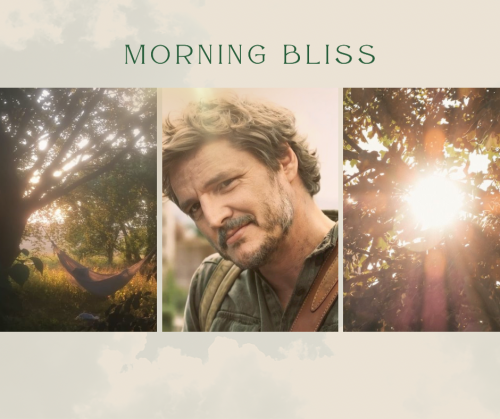 MORNING BLISS