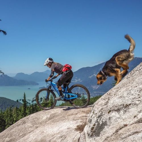 roaradventures: Bring your bike and a trail dog ✔️✔️ 8 Best Multi-Day Cycling Tours in New Zealand →