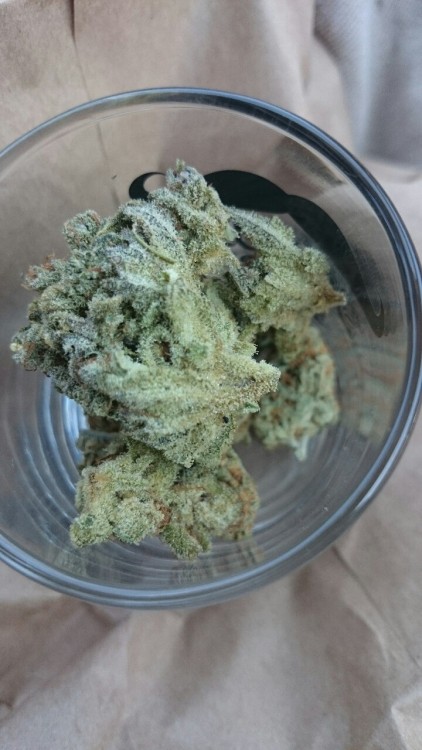 cannab1shh:Boyfriend got some White Shark. Smells delicious. Just a few trichromes….