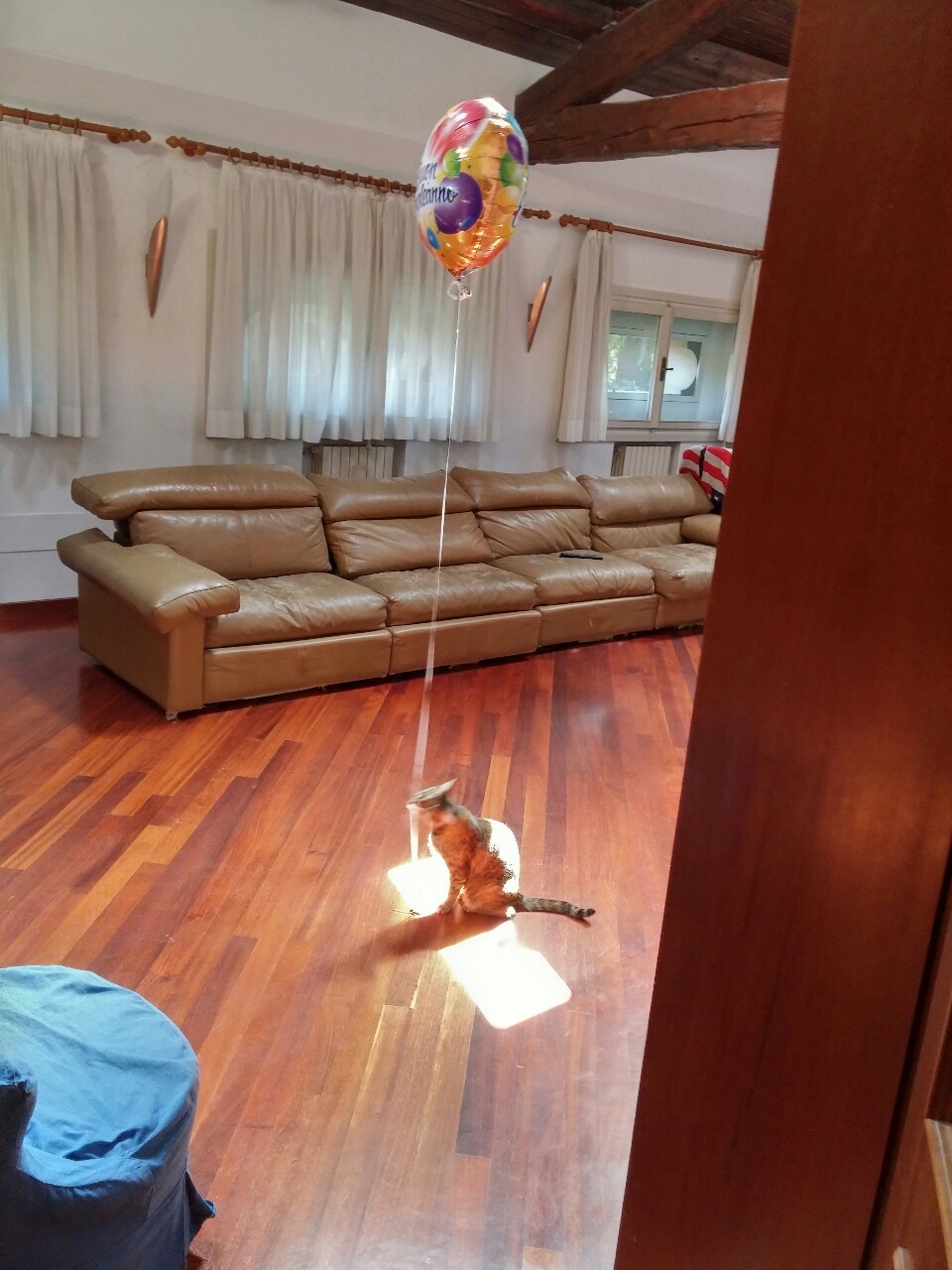 The birthday balloon thief strikes again&hellip;  But now I caught her in the