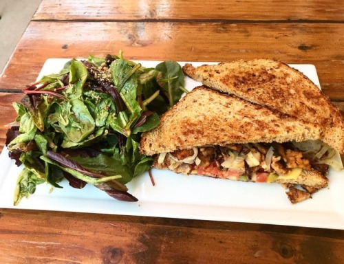 Grilled Cheese on multi-grain Killer Dave’s Bread @suncafela it’s got grilled mushrooms,