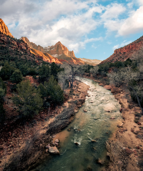 forest-nation:  the riverbend at zion national park by raggysama 