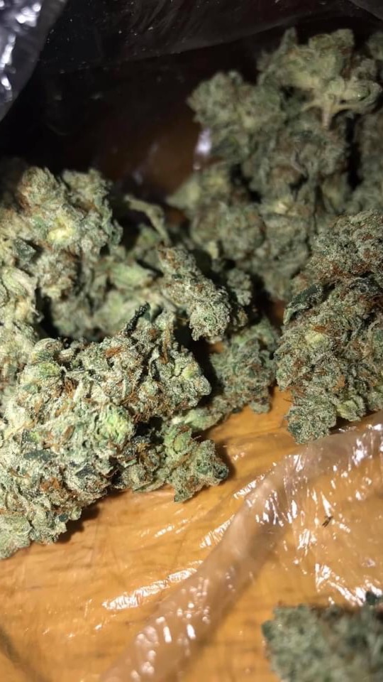 Weedfrance Explore Tumblr Posts And Blogs Tumgir Weedfrance Explore Tumblr Posts And Blogs Tumgir