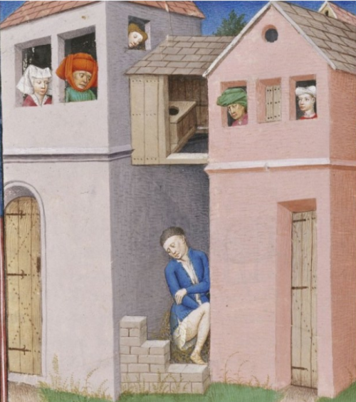 Mediaeval and post-medieval inhabitants of Brussels were plagued by diarrhoea! Research on medi