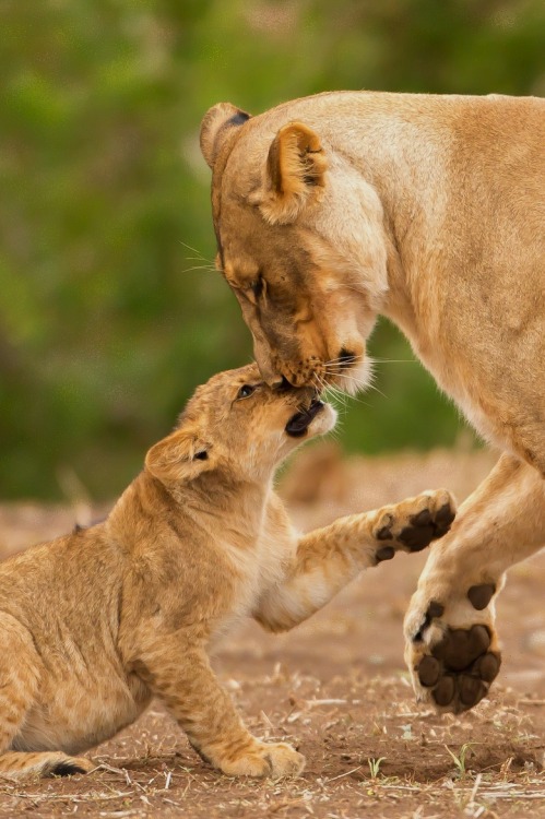 visualechoess:  Damn Kids - © Scott E. Allen | ᶹᶥᶳᶸᵃᶩᶳ 