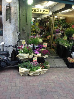 togetiq:  Flower shop in Japan  