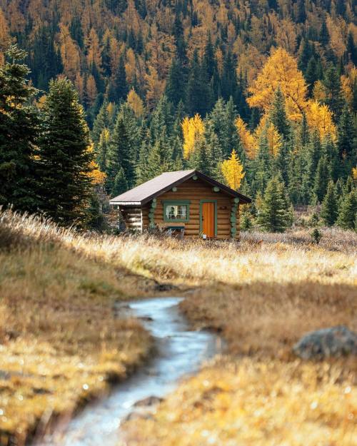 cozylogcabins - wistfullycountry - Stevin Tuchiwsky | @stevintIm...