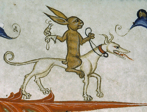discardingimages:rabbit riding a hound with a trained snail of prey Pontifical of Guillaume Durand