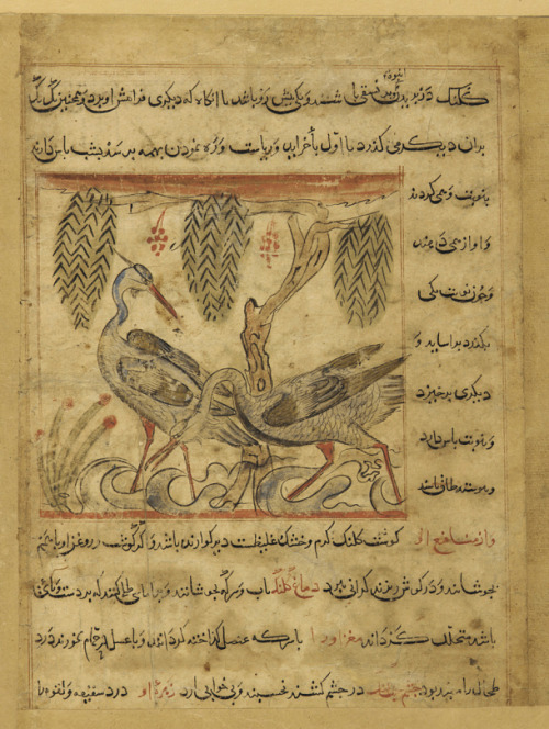 Two herons under hanging branches, and four grouse in flightTwo sides of a detached folio from a Man