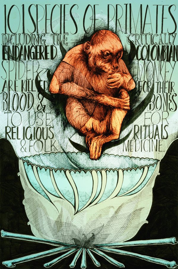 artmonia:  Human Harm: Posters for endangered species awareness by Suzanne Mills