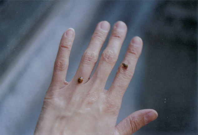sittenlos:  untitled by i’m a witch 