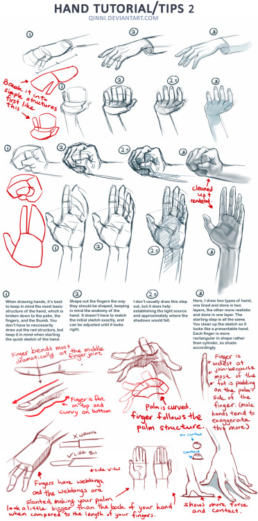 Some handy drawing tips, courtesy of Quinni. http://qinni.deviantart.com/art/Hand-Tutorial-2-2987392