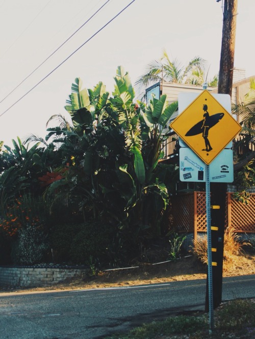 californiacrahz:good vibes