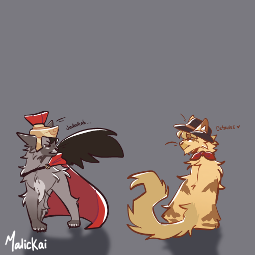 Brain Went Brrr And Said Yeah Cat Jed And Octy AU Makes Sense And Now Were Here