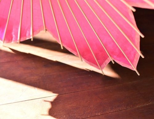 Sakura wagasa, a traditional Japanese umbrella hand made by the specialist Kasabiyori