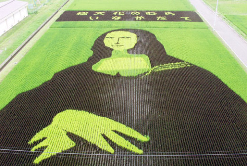 The town of Inakadate in Japan has been making decorative rice plantations for 20 years now. This sm