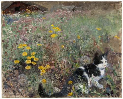 nationalmuseum-swe: Cat on a flowery meadow, Bruno Liljefors, 19??, Nationalmuseum, SWEcollec
