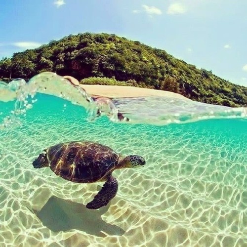 -careta By Tamara_bacaro // Via Instagram Http://ift.tt/1eEWdvW