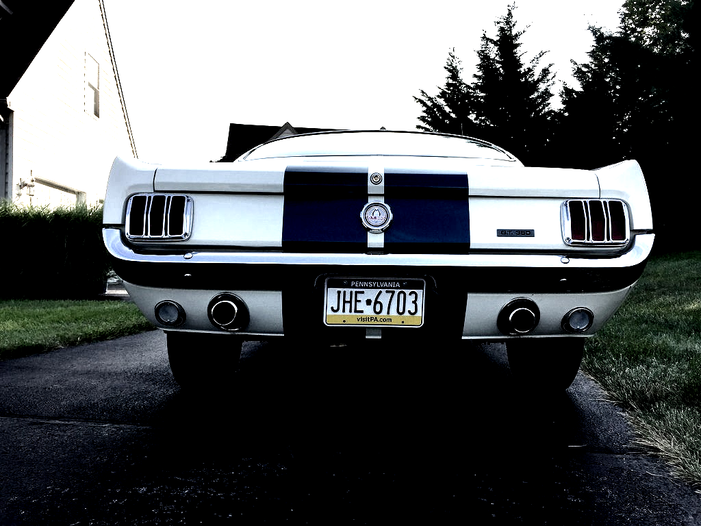 JUST THE COOLEST MUSTANGS