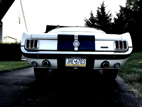 JUST THE COOLEST MUSTANGS